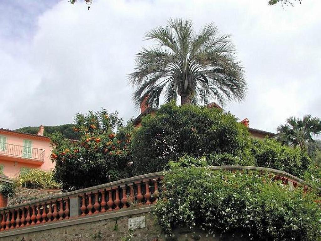 183 D36 LE LAVANDOU_000053.jpg